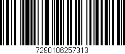 Código de barras (EAN, GTIN, SKU, ISBN): '7290106257313'