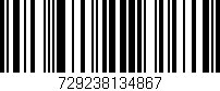 Código de barras (EAN, GTIN, SKU, ISBN): '729238134867'