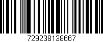 Código de barras (EAN, GTIN, SKU, ISBN): '729238138667'