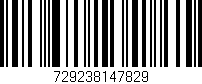 Código de barras (EAN, GTIN, SKU, ISBN): '729238147829'