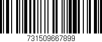 Código de barras (EAN, GTIN, SKU, ISBN): '731509667899'
