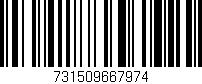 Código de barras (EAN, GTIN, SKU, ISBN): '731509667974'