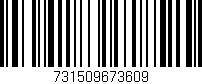 Código de barras (EAN, GTIN, SKU, ISBN): '731509673609'