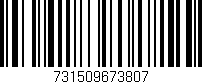 Código de barras (EAN, GTIN, SKU, ISBN): '731509673807'