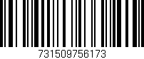 Código de barras (EAN, GTIN, SKU, ISBN): '731509756173'
