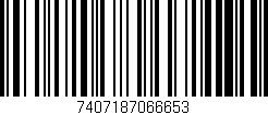 Código de barras (EAN, GTIN, SKU, ISBN): '7407187066653'