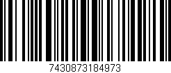 Código de barras (EAN, GTIN, SKU, ISBN): '7430873184973'