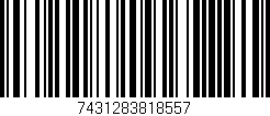 Código de barras (EAN, GTIN, SKU, ISBN): '7431283818557'