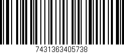 Código de barras (EAN, GTIN, SKU, ISBN): '7431363405738'