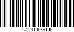 Código de barras (EAN, GTIN, SKU, ISBN): '7432613855198'