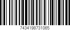 Código de barras (EAN, GTIN, SKU, ISBN): '7434198731065'