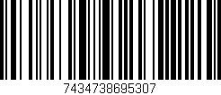 Código de barras (EAN, GTIN, SKU, ISBN): '7434738695307'