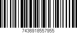 Código de barras (EAN, GTIN, SKU, ISBN): '7436918557955'