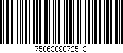 Código de barras (EAN, GTIN, SKU, ISBN): '7506309872513'