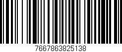 Código de barras (EAN, GTIN, SKU, ISBN): '7667863825138'