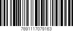 Código de barras (EAN, GTIN, SKU, ISBN): '7891117079163'