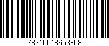 Código de barras (EAN, GTIN, SKU, ISBN): '78916618653808'