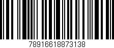 Código de barras (EAN, GTIN, SKU, ISBN): '78916618873138'