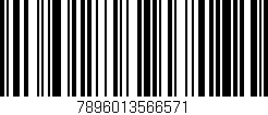 Código de barras (EAN, GTIN, SKU, ISBN): '7896013566571'
