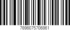 Código de barras (EAN, GTIN, SKU, ISBN): '7896075706861'