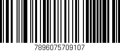 Código de barras (EAN, GTIN, SKU, ISBN): '7896075709107'