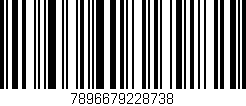 Código de barras (EAN, GTIN, SKU, ISBN): '7896679228738'
