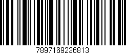 Código de barras (EAN, GTIN, SKU, ISBN): '7897169236813'