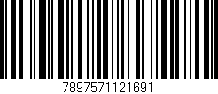 Código de barras (EAN, GTIN, SKU, ISBN): '7897571121691'