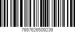 Código de barras (EAN, GTIN, SKU, ISBN): '7897626509238'