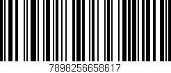Código de barras (EAN, GTIN, SKU, ISBN): '7898256658617'