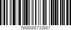 Código de barras (EAN, GTIN, SKU, ISBN): '7898569733667'