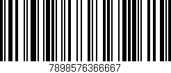 Código de barras (EAN, GTIN, SKU, ISBN): '7898576366667'