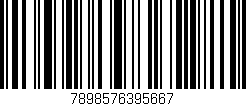 Código de barras (EAN, GTIN, SKU, ISBN): '7898576395667'