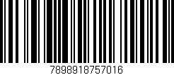 Código de barras (EAN, GTIN, SKU, ISBN): '7898918757016'