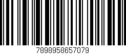 Código de barras (EAN, GTIN, SKU, ISBN): '7898958657079'