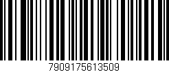 Código de barras (EAN, GTIN, SKU, ISBN): '7909175613509'