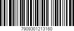 Código de barras (EAN, GTIN, SKU, ISBN): '7909301213160'