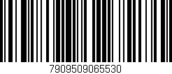 Código de barras (EAN, GTIN, SKU, ISBN): '7909509065530'