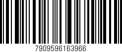 Código de barras (EAN, GTIN, SKU, ISBN): '7909596163966'