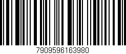 Código de barras (EAN, GTIN, SKU, ISBN): '7909596163980'