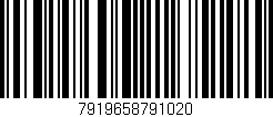 Código de barras (EAN, GTIN, SKU, ISBN): '7919658791020'
