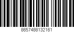 Código de barras (EAN, GTIN, SKU, ISBN): '8657488132161'