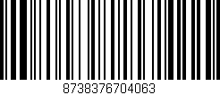 Código de barras (EAN, GTIN, SKU, ISBN): '8738376704063'