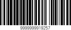 Código de barras (EAN, GTIN, SKU, ISBN): '9999999919257'