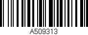 Código de barras (EAN, GTIN, SKU, ISBN): 'A509313'