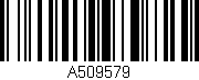 Código de barras (EAN, GTIN, SKU, ISBN): 'A509579'