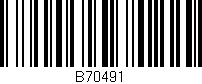 Código de barras (EAN, GTIN, SKU, ISBN): 'B70491'