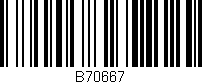 Código de barras (EAN, GTIN, SKU, ISBN): 'B70667'