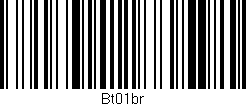 Código de barras (EAN, GTIN, SKU, ISBN): 'Bt01br'