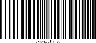 Código de barras (EAN, GTIN, SKU, ISBN): 'bigsya001hmsq'